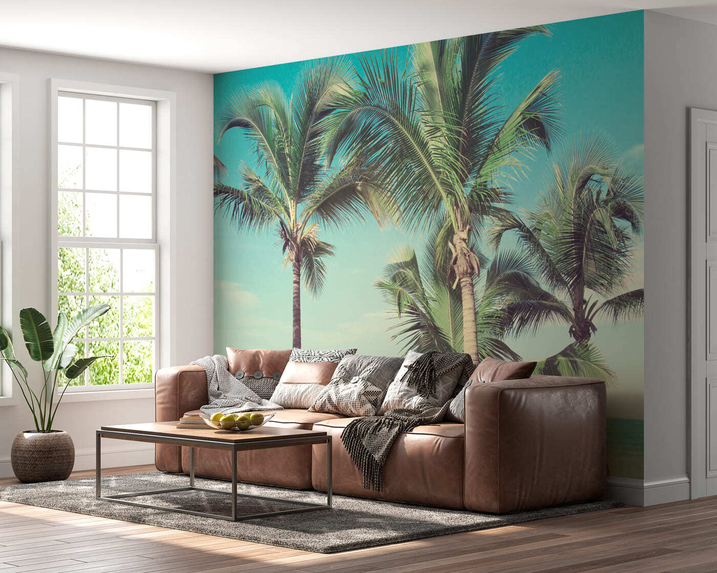 Palm trees on a beach