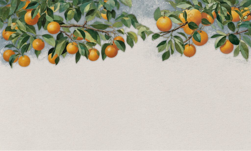 A branch of oranges with leaves