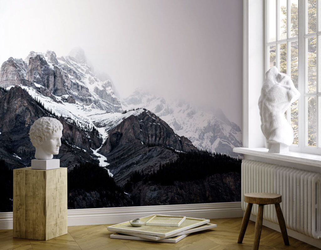 A snowy mountain with trees