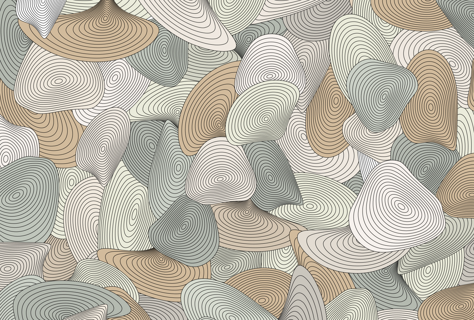 Pattern of spirals and lines Pattern of spirals and lines