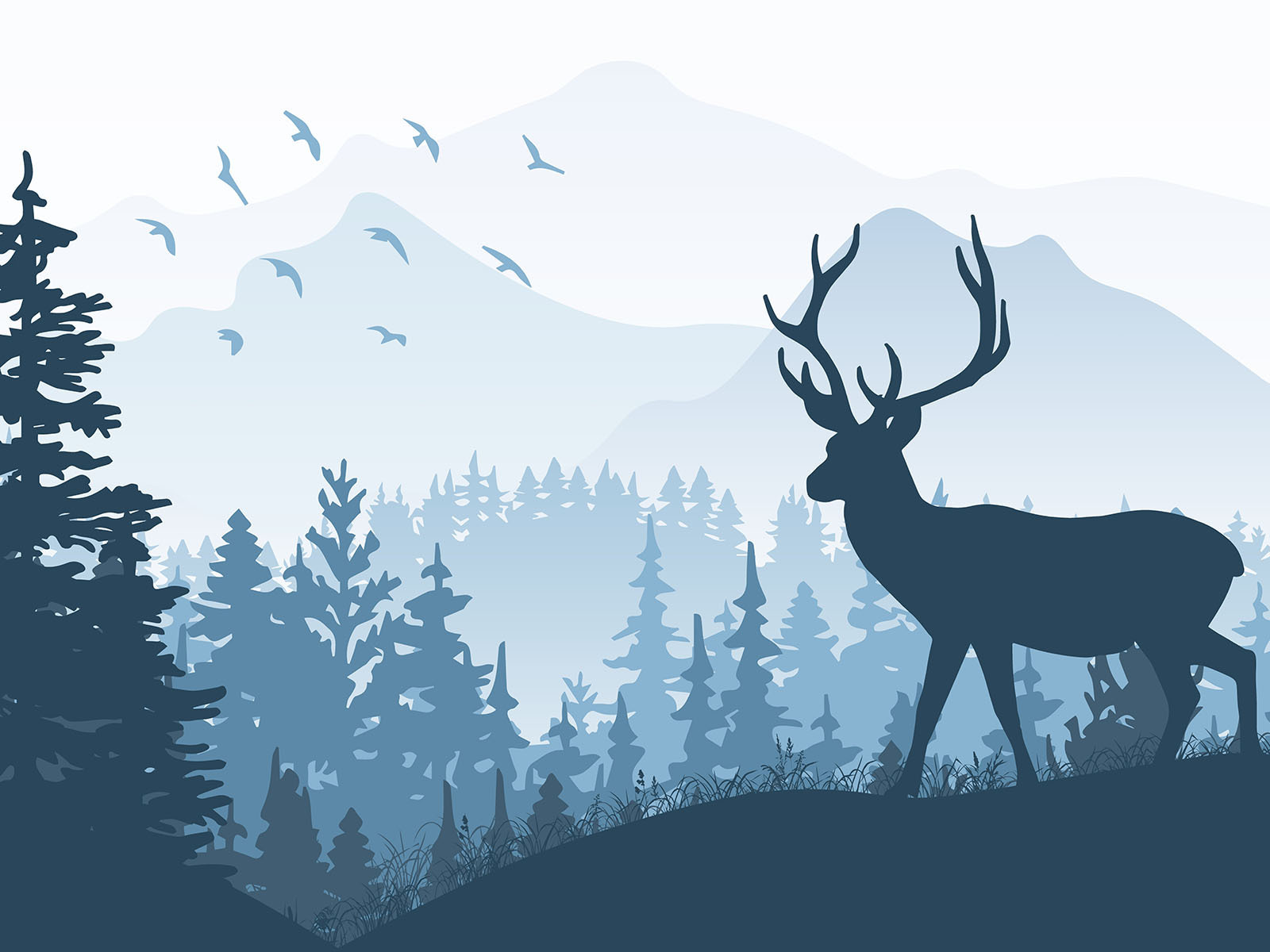 Deer in a forest