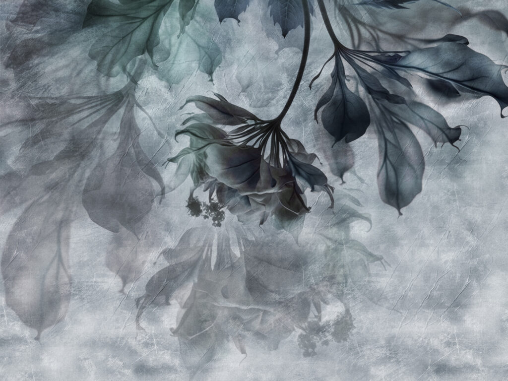 Delicate leaves in soft tones Delicate leaves in soft tones