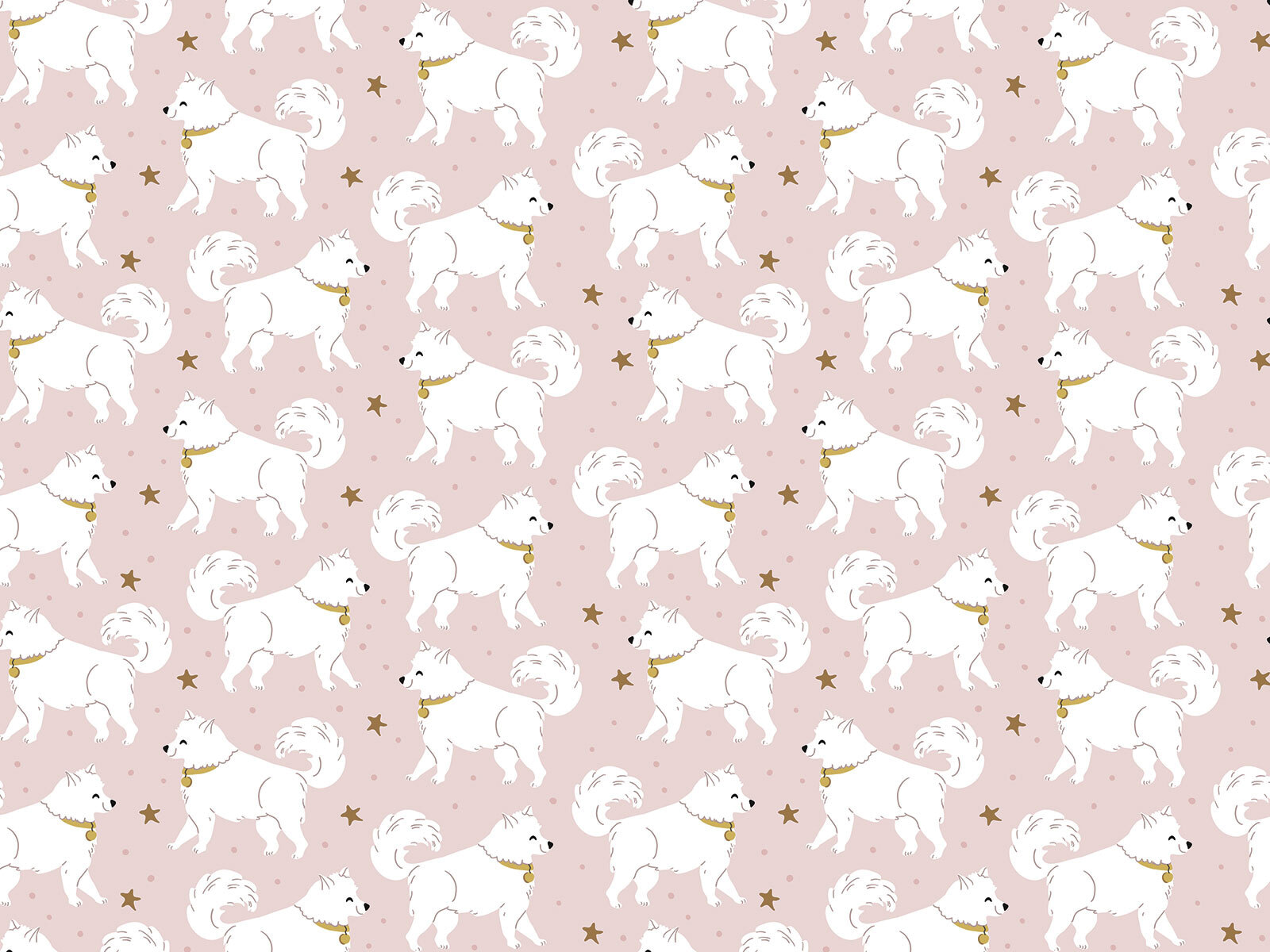 Pattern of white dogs