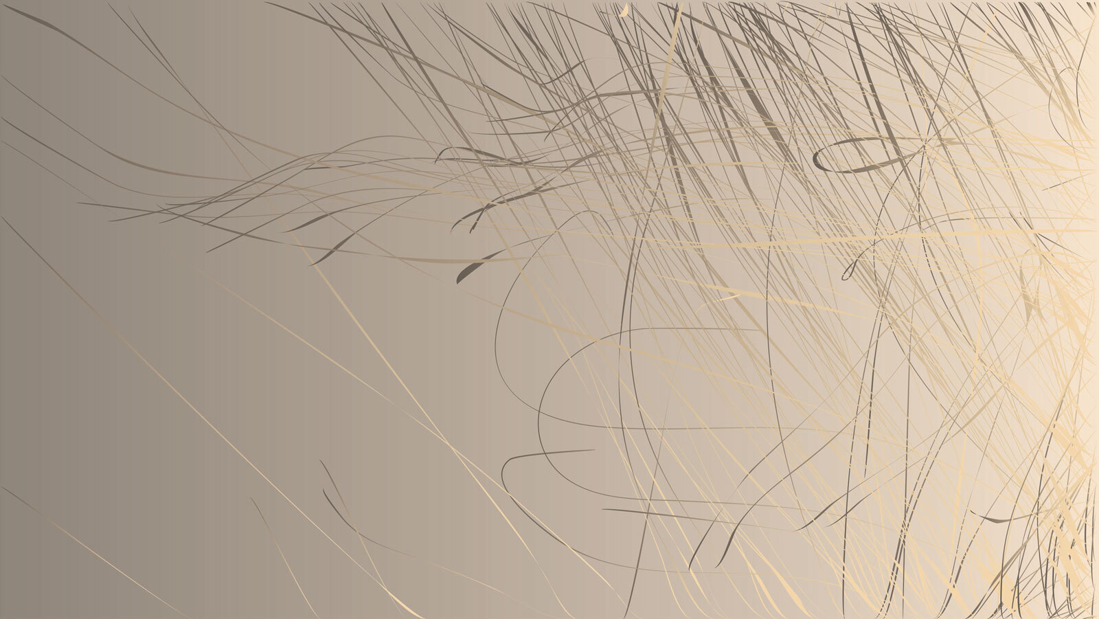 Abstract lines on a soft background