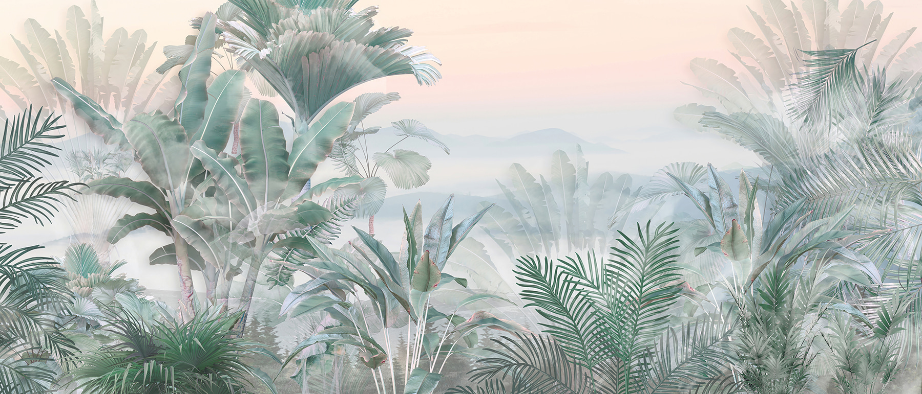 Foggy landscape with plants