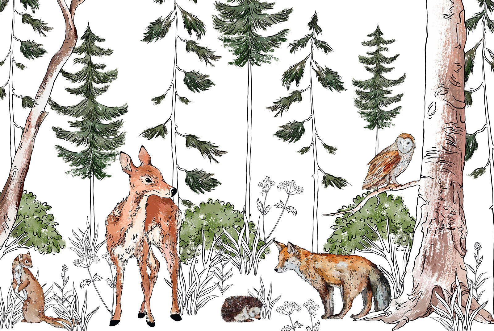 u78692p - Ομάδα ζώων σε δάσος - tegory