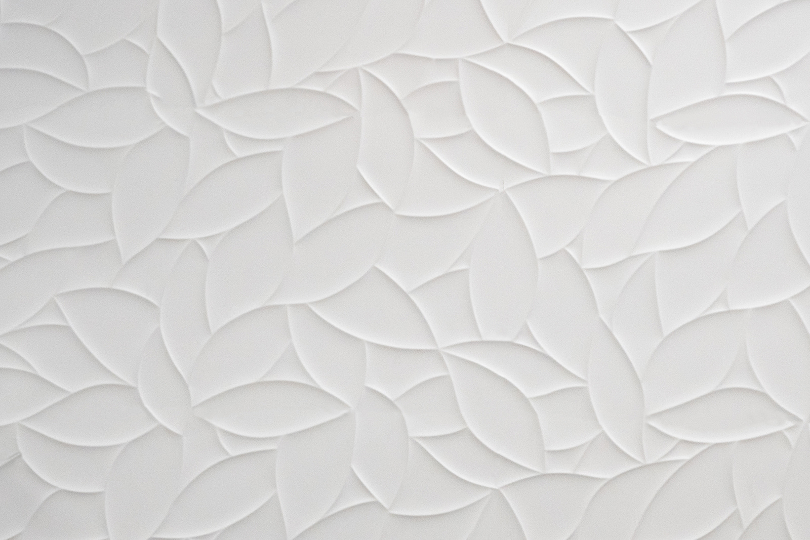 White surface with leaves