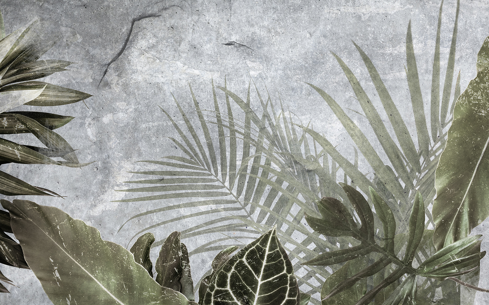 u72775p - Οι υφές της φύσης σε λεπτές αποχρώσεις - tegory