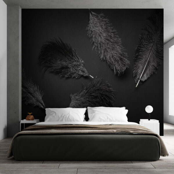 Group of black feathers Group of black feathers