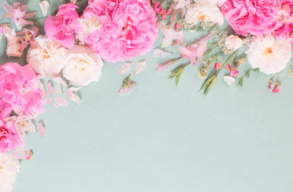 u72232p 1024x671 - Ομάδα ροζ λουλουδιών - tegory