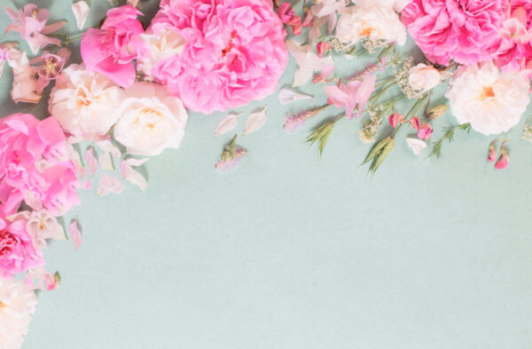 u72232p 600x393 - Ομάδα ροζ λουλουδιών - tegory