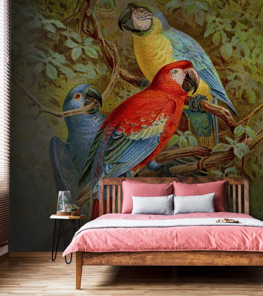 u71620pib1m 909x1024 - Ομάδα πολύχρωμων πουλιών σε κλαδί δέντρου - tegory