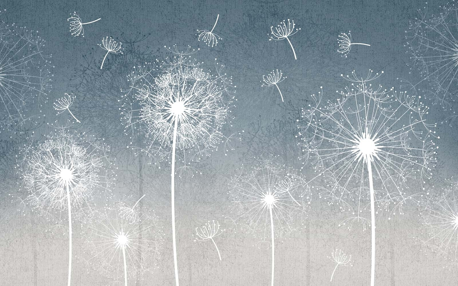 u63857p - Λευκές πικραλίδες στον αέρα - tegory