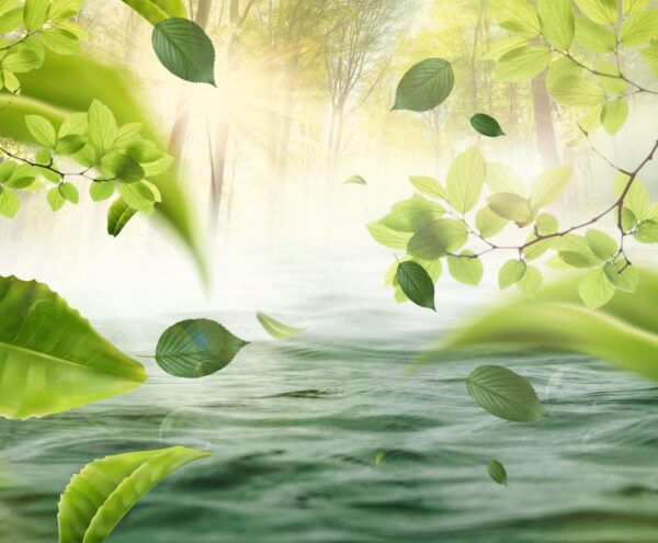 u62860p 600x495 - Νερό με φύλλα που πετούν στον αέρα - tegory