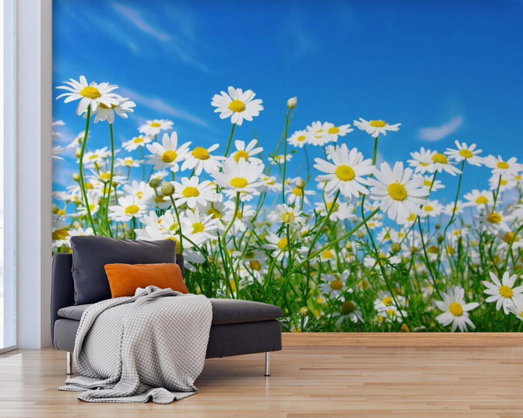 u62523pig25 1024x819 - Πεδίο με λευκά και κίτρινα λουλούδια - tegory