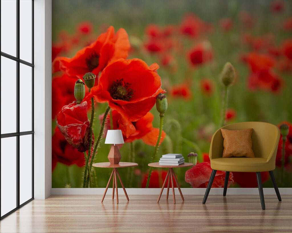 u61697pig3 1024x819 - Πεδίο με κόκκινα λουλούδια - tegory