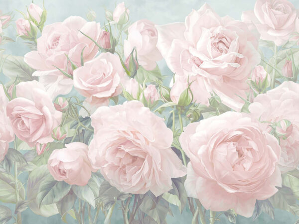 u61660p 600x450 - Ομάδα από ροζ τριαντάφυλλα - tegory