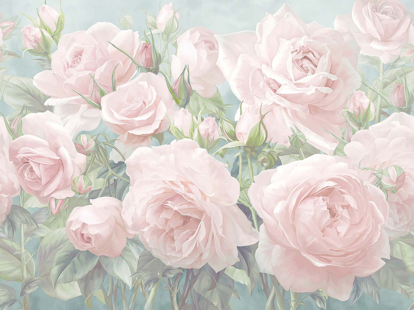 u61660p - Ομάδα από ροζ τριαντάφυλλα - tegory