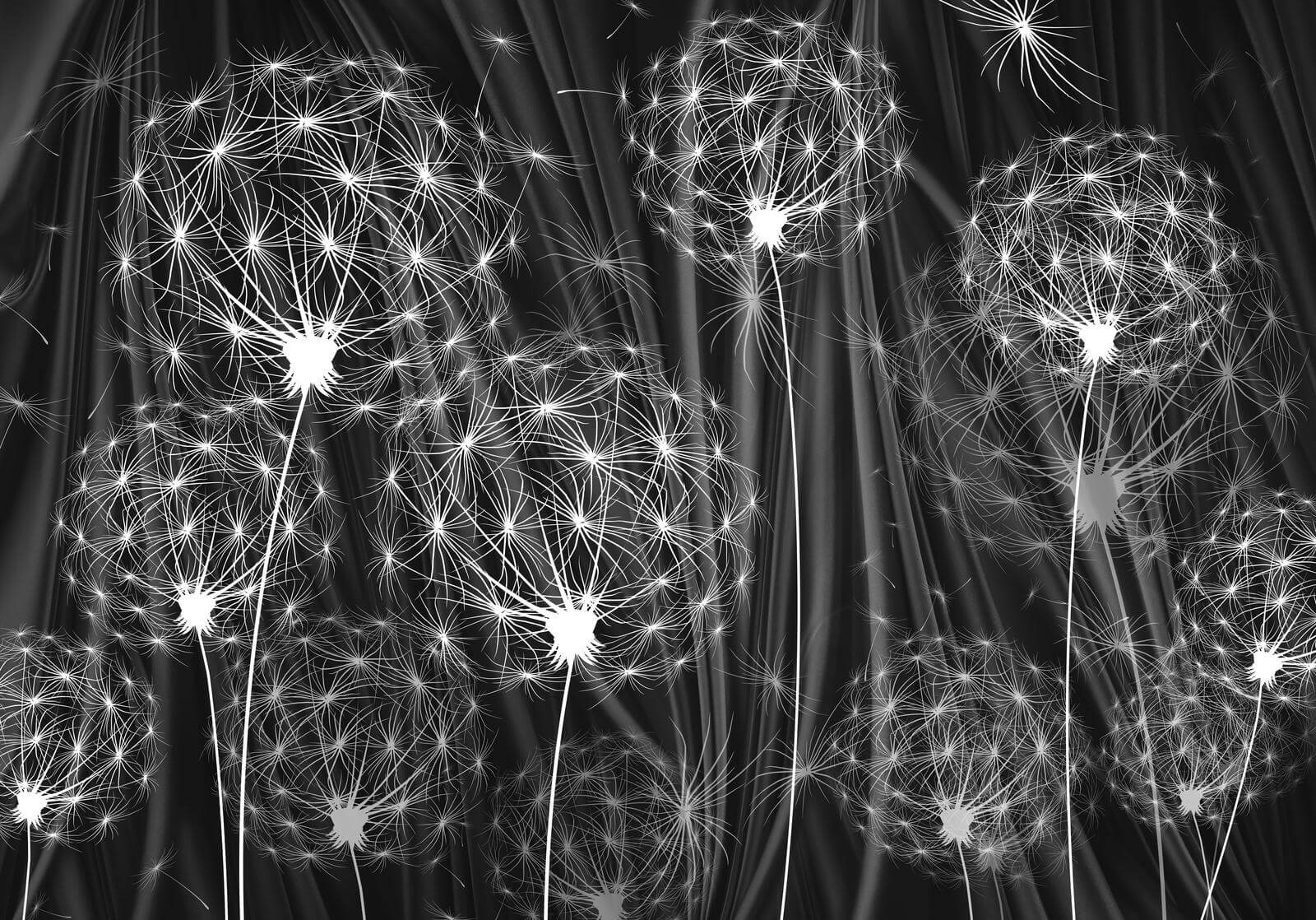 u61443p - Λεπτοί σπόροι έτοιμοι να διασκορπιστούν - tegory