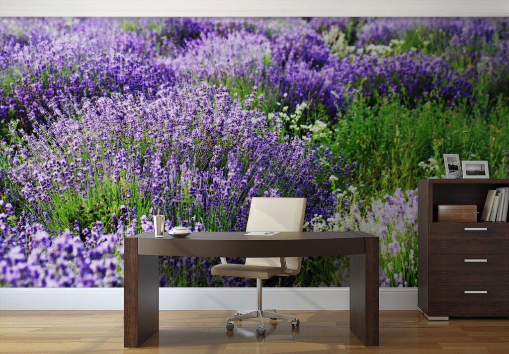 u57293piw1 1024x712 - Πεδίο με μωβ λουλούδια - tegory