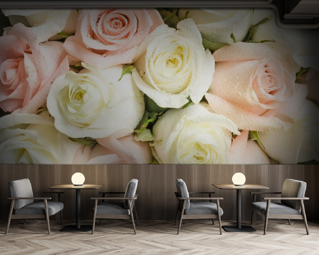 u55692piz137 1024x819 - Ομάδα ροζ και λευκών τριαντάφυλλων - tegory