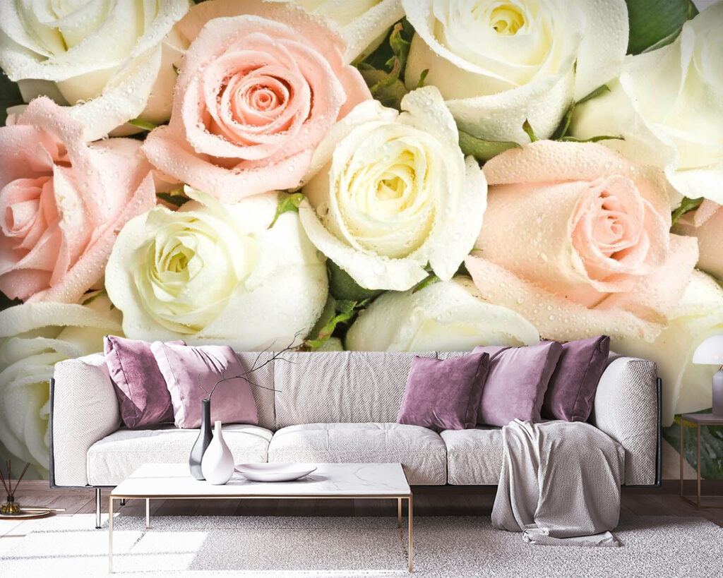 u55692pig38 1024x819 - Ομάδα ροζ και λευκών τριαντάφυλλων - tegory