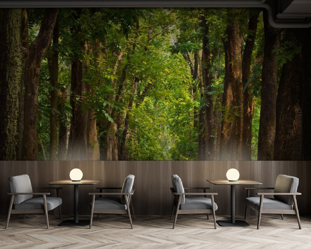 u55418piz137m 1024x819 - Μονοπάτι με δέντρα στο πλάι - tegory