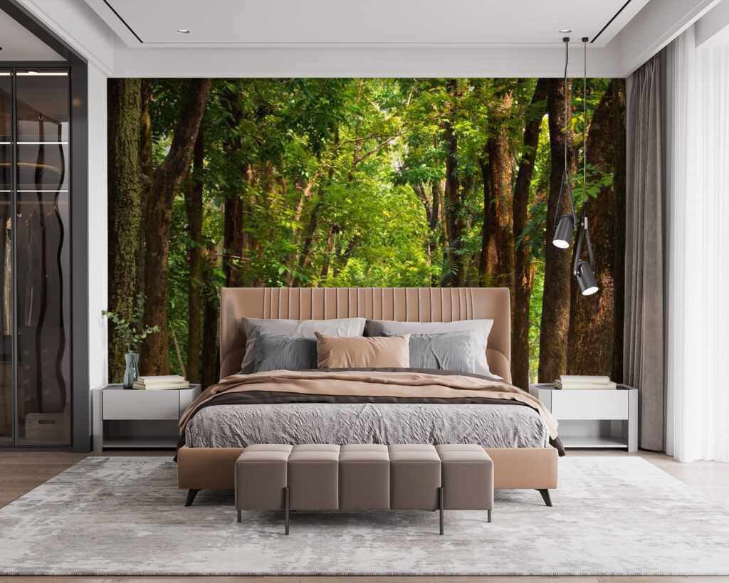 u55418pib115 1024x819 - Μονοπάτι με δέντρα στο πλάι - tegory