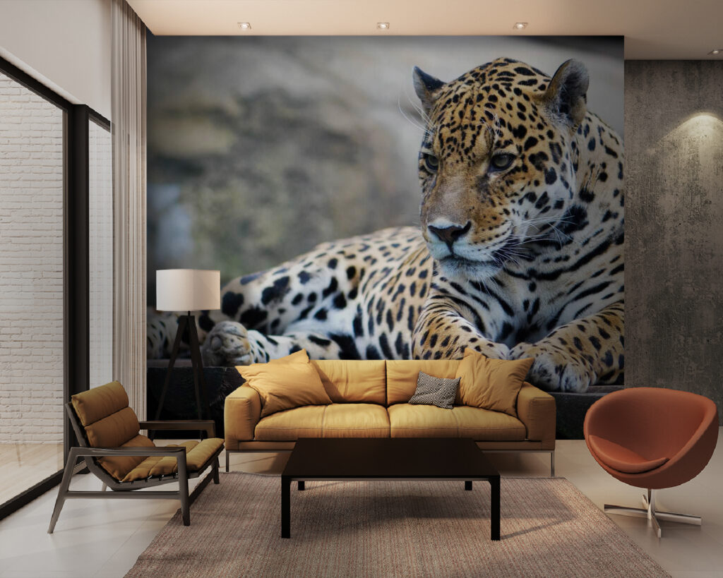 u55313pig28m 1024x819 - Λεοπάρδαλη ξαπλωμένη σε ξύλινη επιφάνεια - tegory