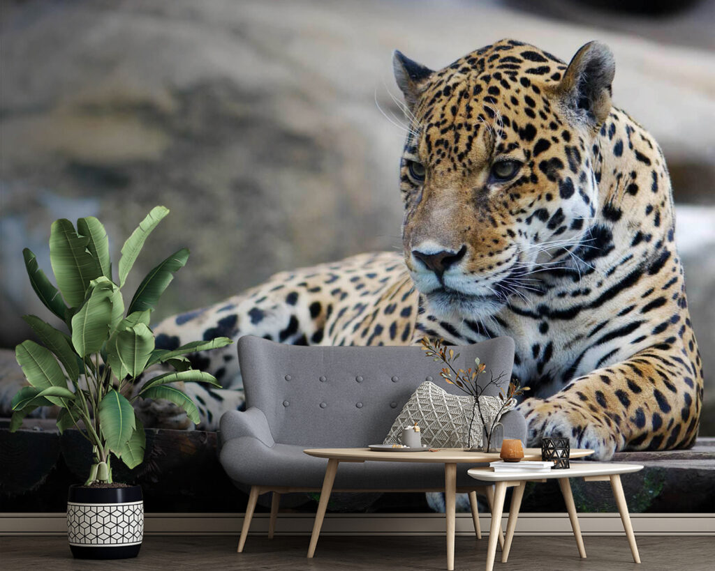 u55313pig4 1024x819 - Λεοπάρδαλη ξαπλωμένη σε ξύλινη επιφάνεια - tegory