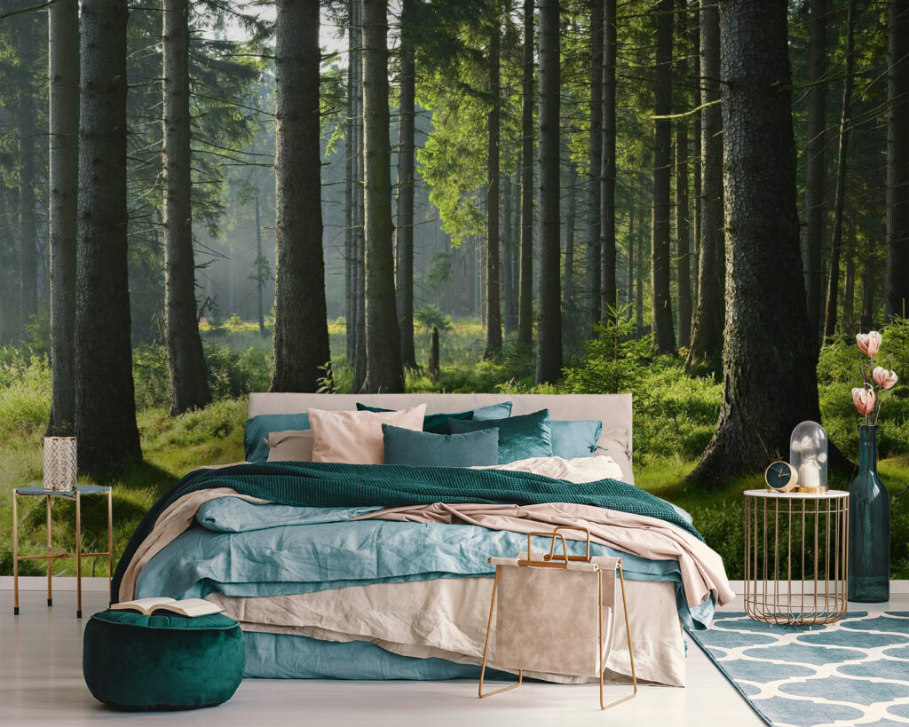 u55302pib111 1024x819 - Δάσος με ψηλά δέντρα και γρασίδι - tegory