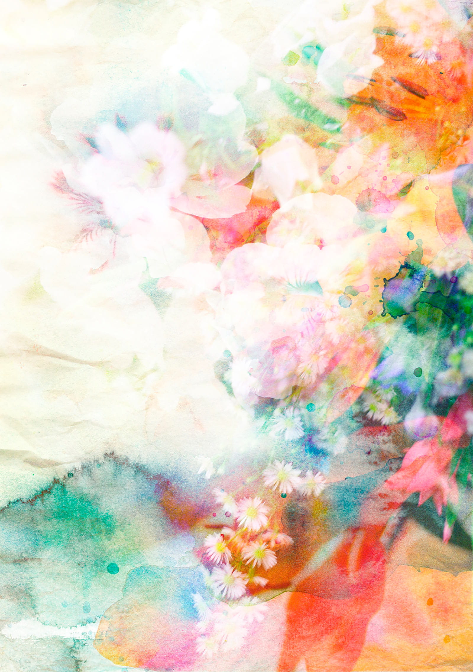 u55087p - Πολύχρωμη ζωγραφική λουλουδιών - tegory