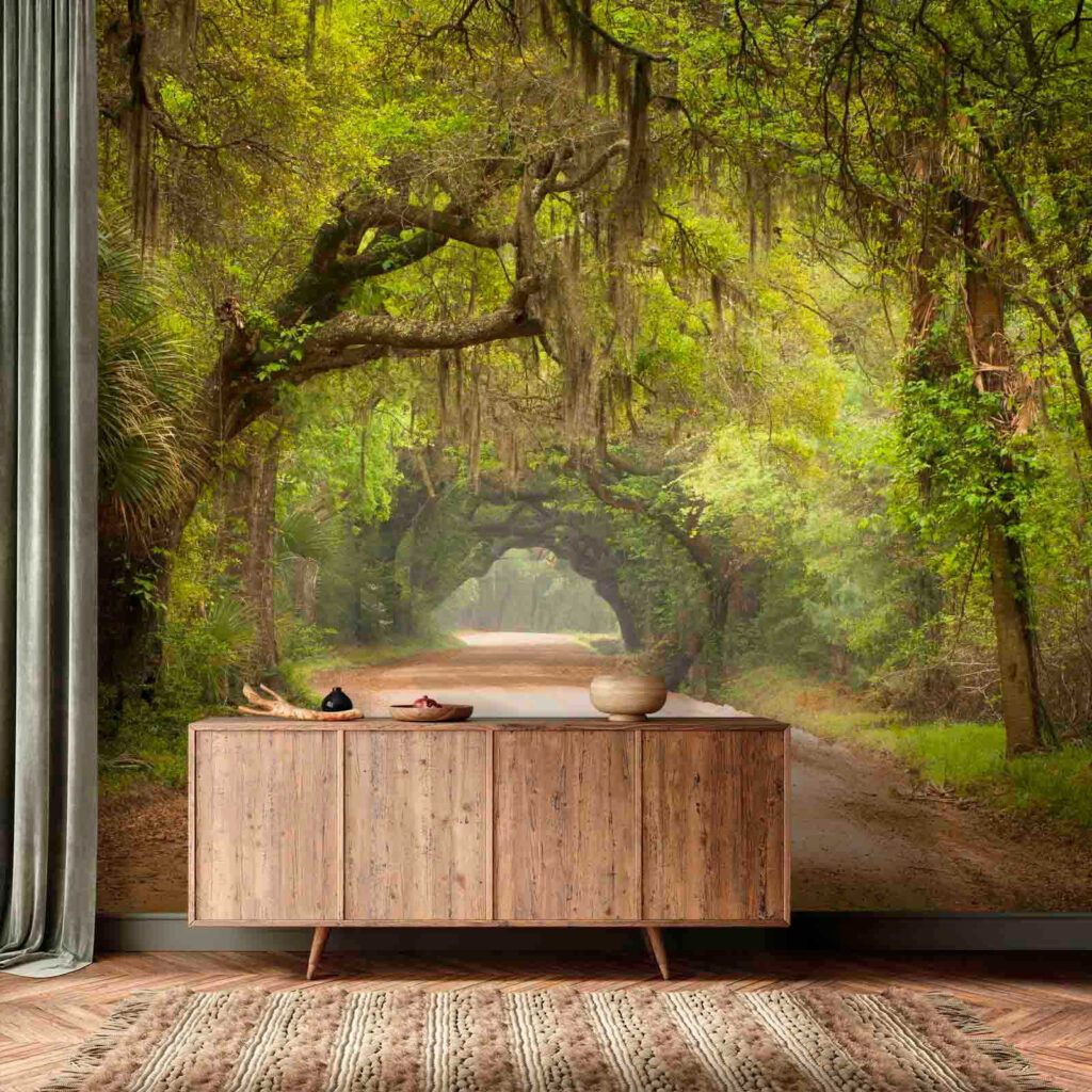 u54614pih1 1024x1024 - Βρώμικος δρόμος με δέντρα και βρύα - tegory