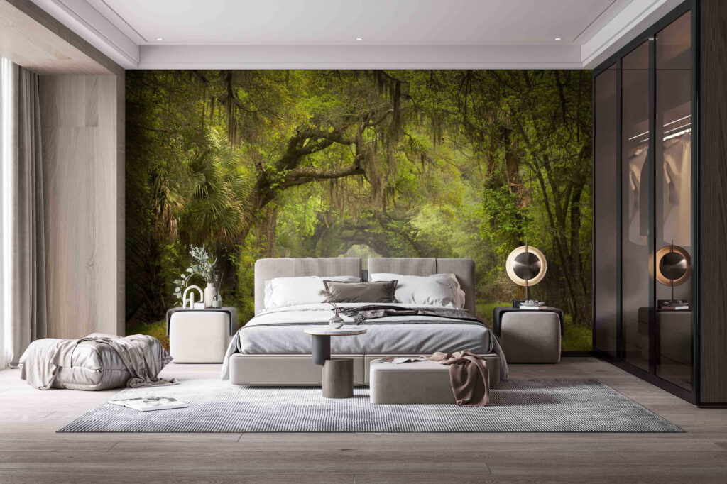 u54614pib1m 1024x682 - Βρώμικος δρόμος με δέντρα και βρύα - tegory