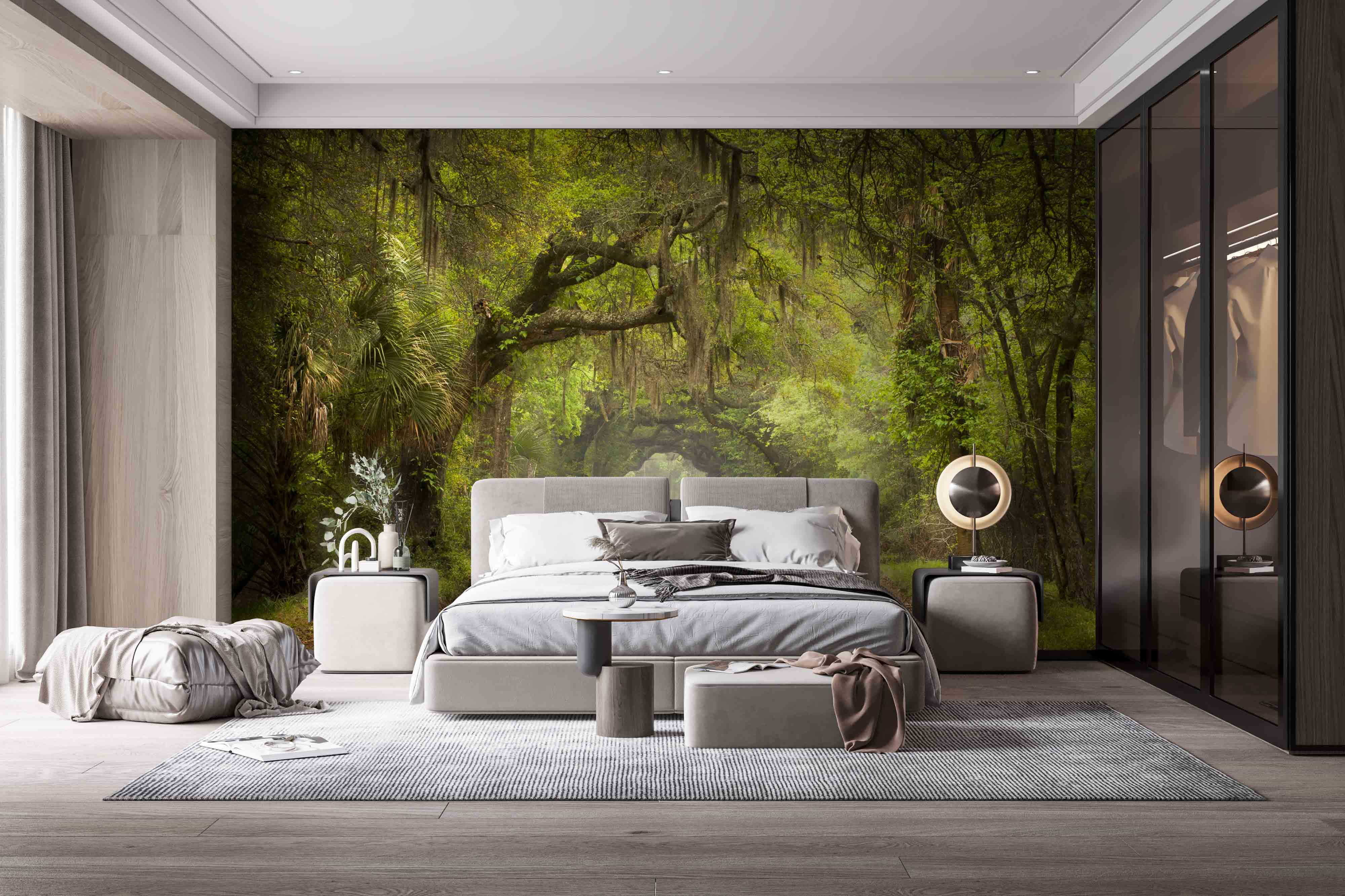 u54614pib1m - Βρώμικος δρόμος με δέντρα και βρύα - tegory