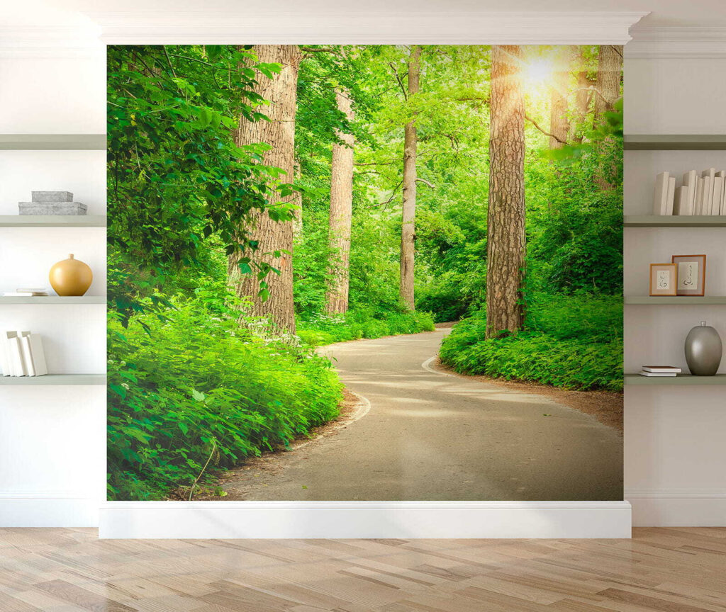 Road through a forest Road through a forest