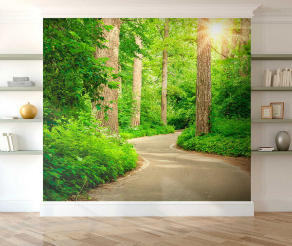 Road through a forest Road through a forest