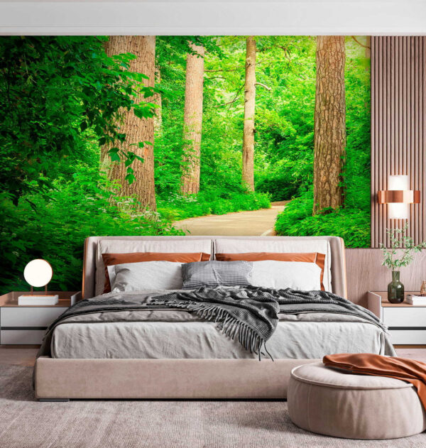 Road through a forest Road through a forest