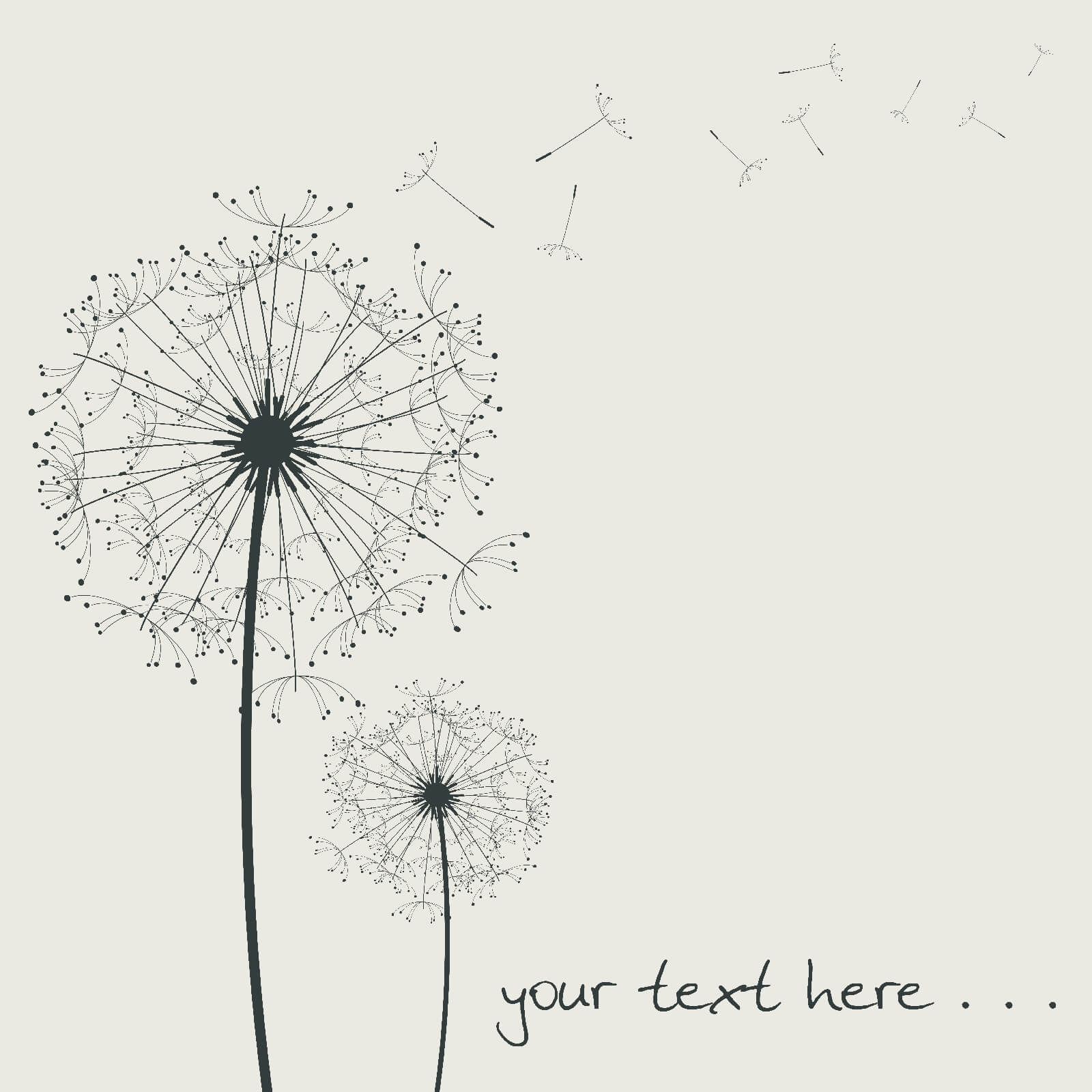 u53656p - Ντελικάτα άνθη που παρασύρονται από τον άνεμο - tegory