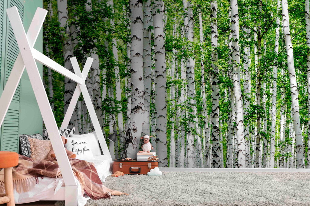 u53519pir1 1024x683 - Ομάδα δέντρων με πράσινα φύλλα - tegory