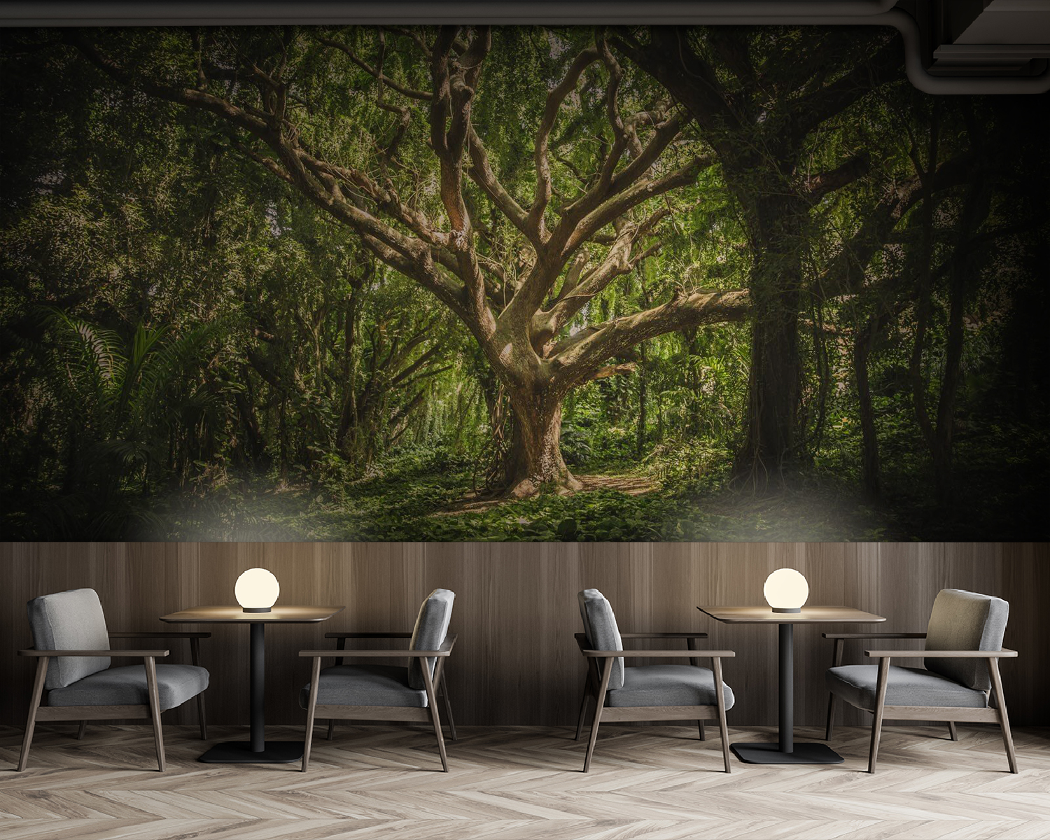 u47613piz137m - Μεγάλο δέντρο σε δάσος - tegory