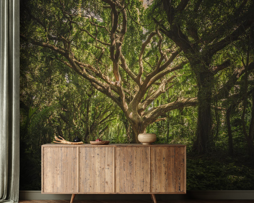 u47613pig21 1024x819 - Μεγάλο δέντρο σε δάσος - tegory