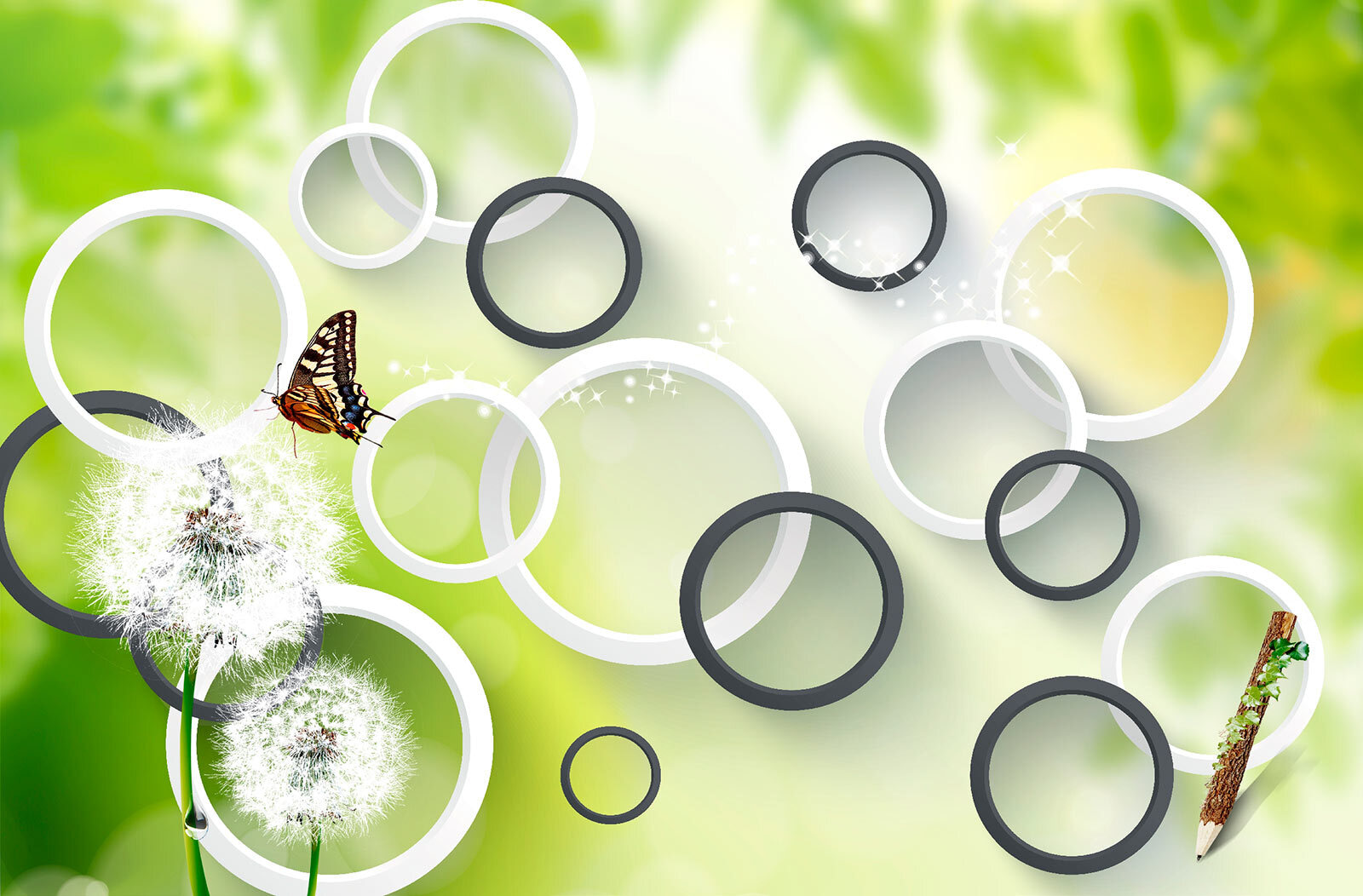 u42442p - Πεταλούδα σε λουλούδι πικραλίδας - tegory