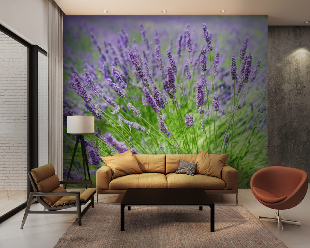 u36335pig28m 1024x819 - Ζωντανό πεδίο λεβάντας σε άνθιση - tegory