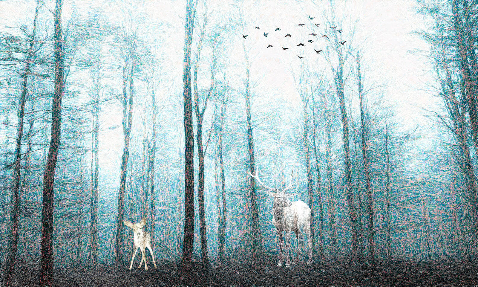 u34343p - Ελάφια στο δάσος - tegory