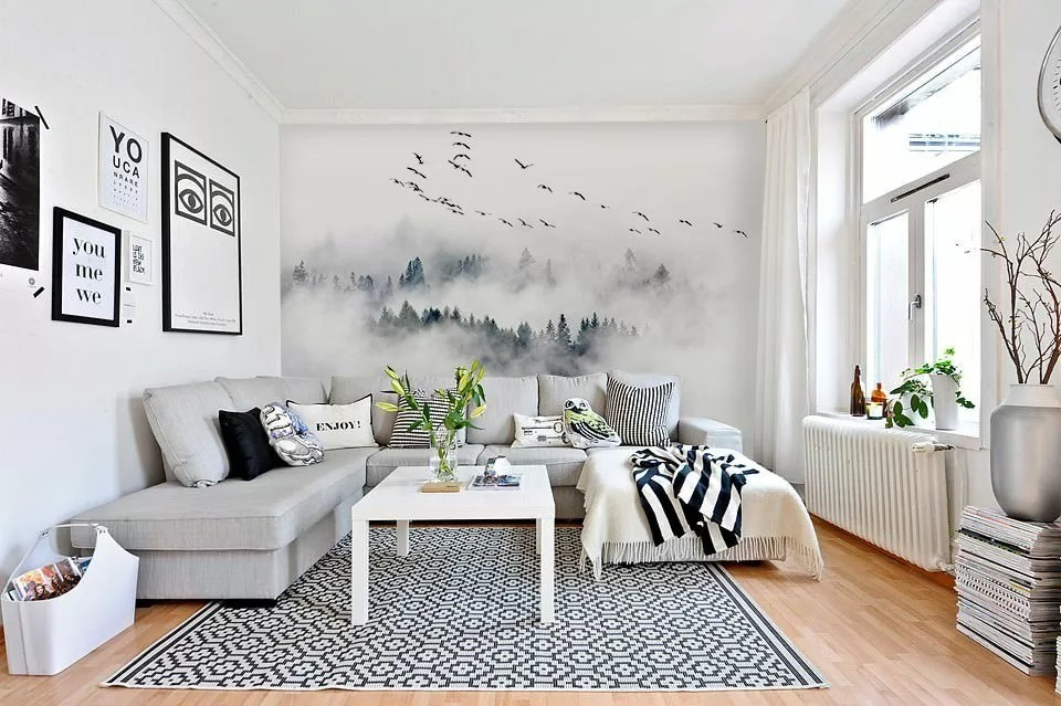 Birds flying in the sky