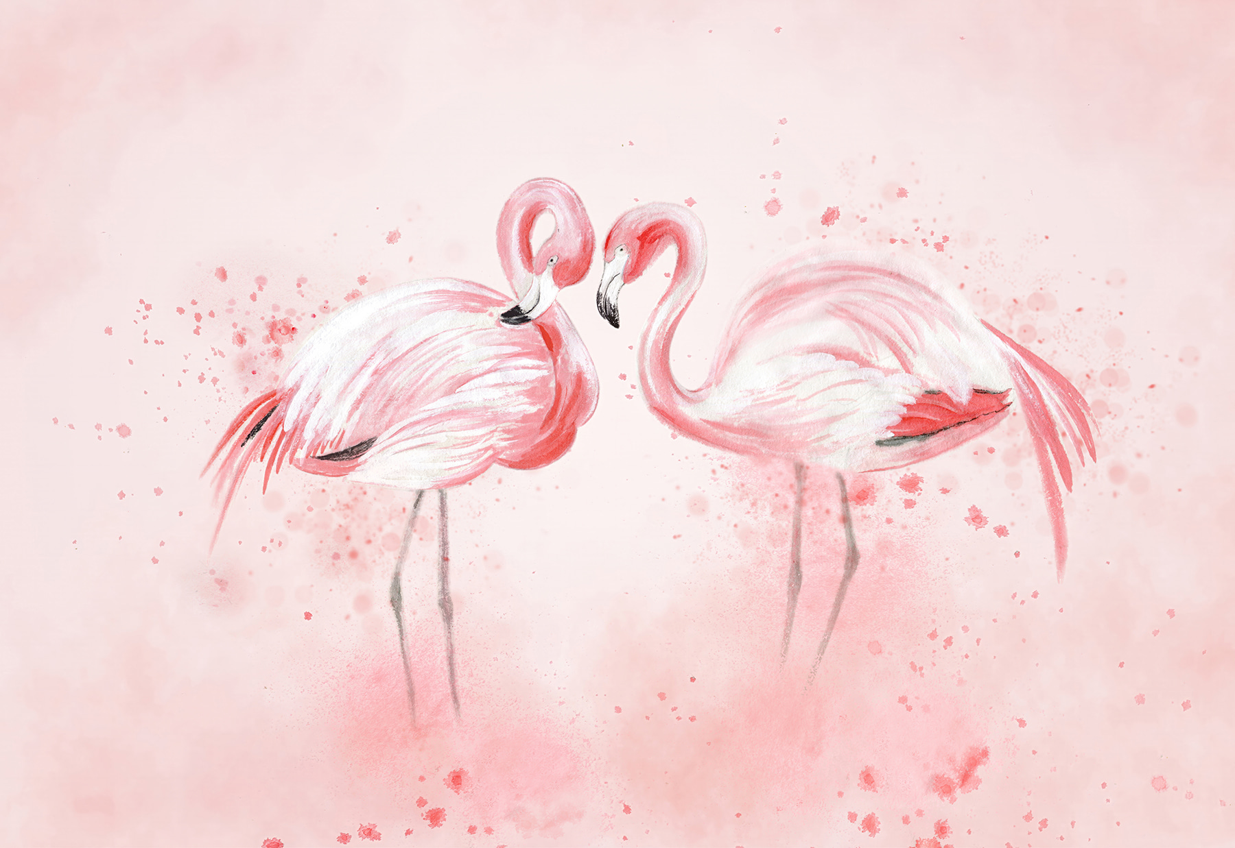 Two flamingos standing next to each other Two flamingos standing next to each other