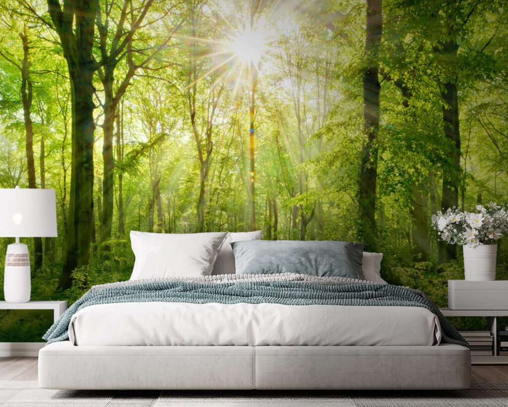 Path through a forest with trees and plants