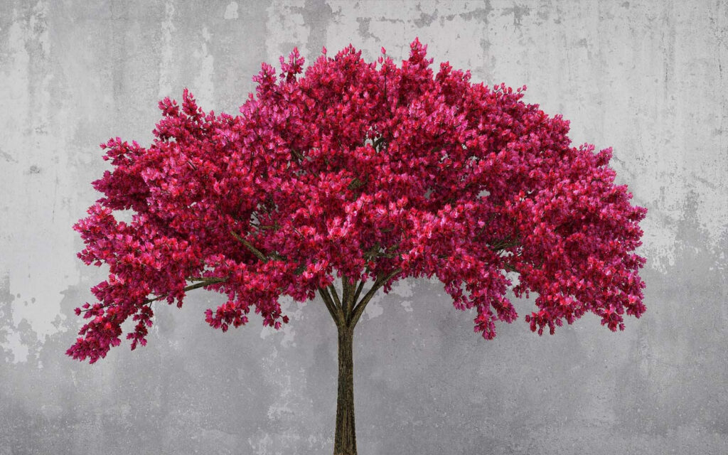 Tree with pink flowers