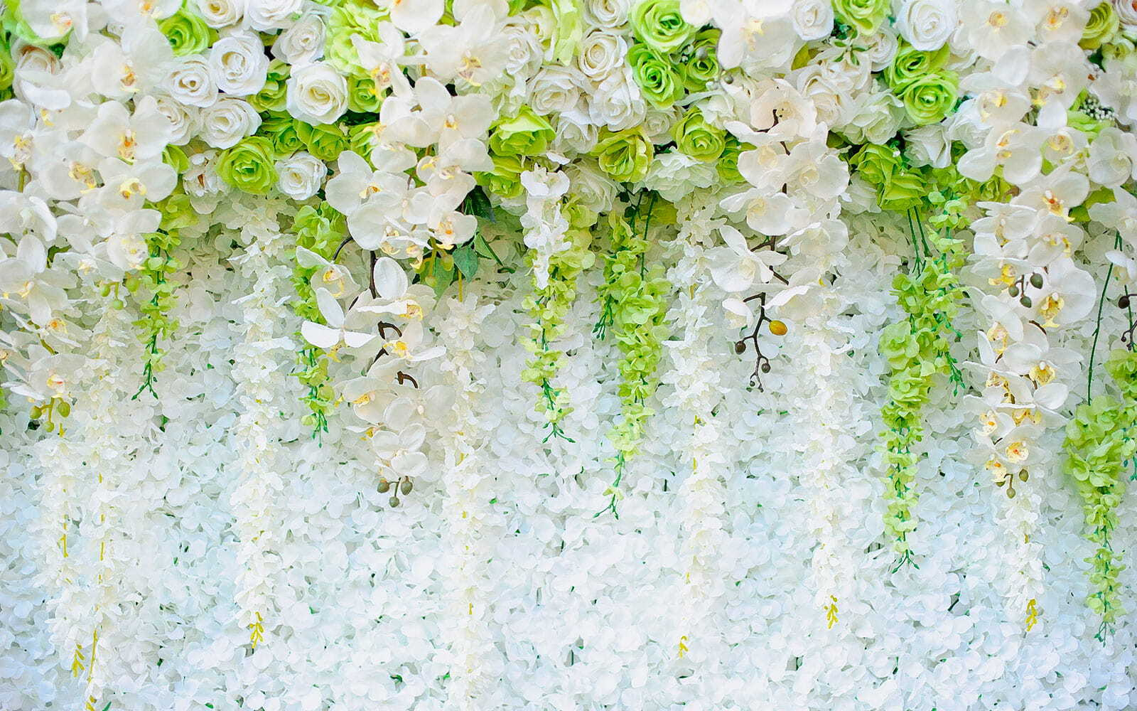 Wall of flowers and vines